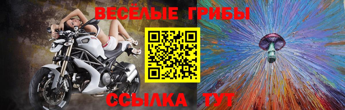 Псилоцибиновые грибы прущие грибы  Вход с VPN  Избербаш 